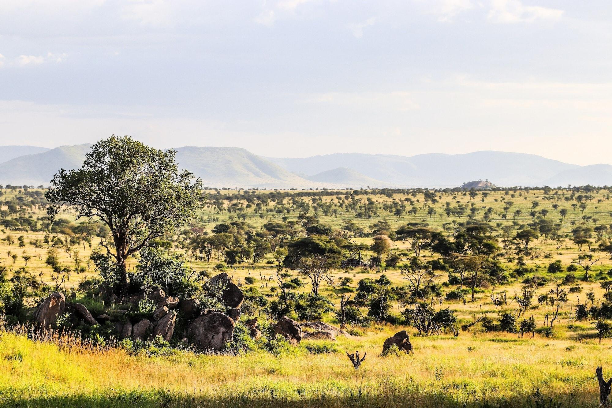 Four Seasons Safari Lodge Serengeti Banagi Екстериор снимка